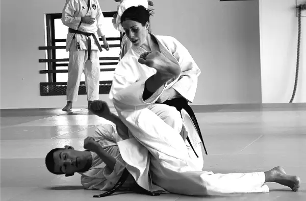 Image combat karate